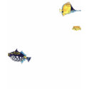 Imaginocean Dark Two Sided Cartoon Fish t-shirts