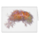 imak26 cards by REDINARD imak26 cards