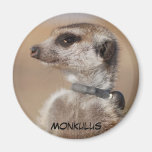 Imán de Monkulus