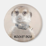 Imán de Rocket Dog