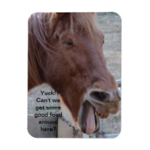 Imán divertido del caballo