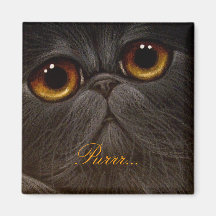Imán NEGRO del CAT PERSA