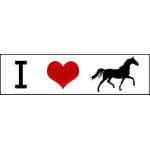 Horse Bumper Stickers