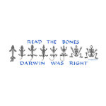 Darwin Bumper Stickers