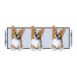 Tasses Chiens