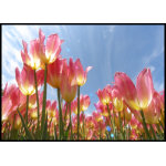 Flowers Postage