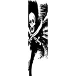 Pirate Skateboards