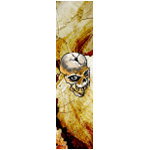 Skull Skateboards