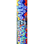 Graffiti Skateboards