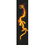 Dragon Skateboards