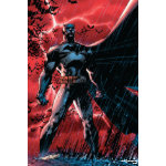 Batman Posters