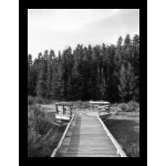 Black and White Photo Posters