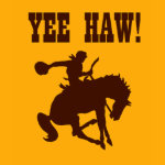 De Cowboys