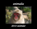 animal 2010 calendar