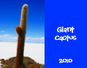giant cactus 2010 calendar
