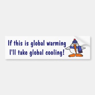 AX- Funny Global Warming Snowbird Bumper Sticker..