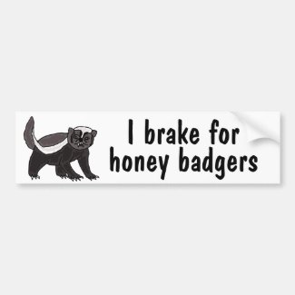 AY- I Brake for Honey Badgers Bumper Sticker