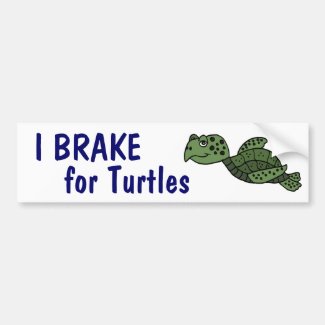 AA- I Brake for Turtles Bumper Sticker