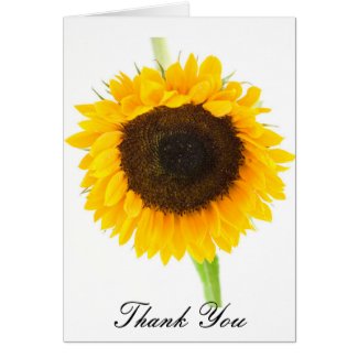 Cheerful Sunflower