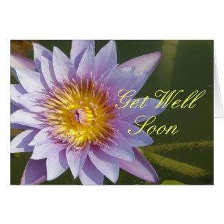 Purple Lotus/Water Lily