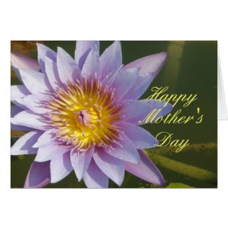 Purple Lotus/Water Lily