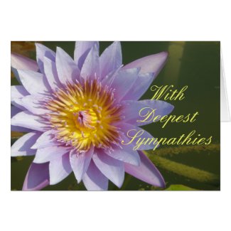 Purple Lotus/Water Lily