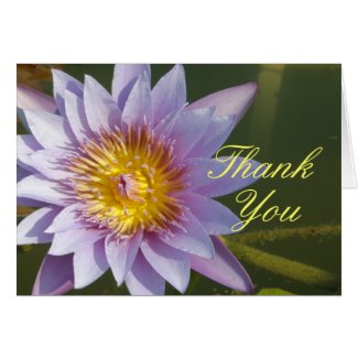 Purple Lotus/Water Lily