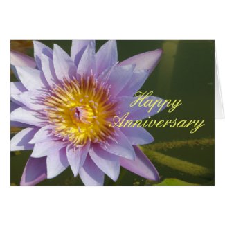 Purple Lotus/Water Lily