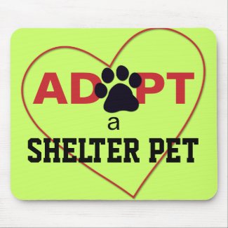 Adopt a Shelter Pet