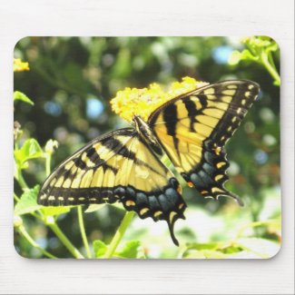 AD- Yellow Swallowtail Mousepad