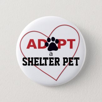 Adopt a Shelter Pet