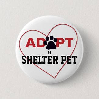 Adopt a Shelter Pet