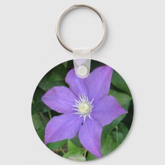 Purple Clematis