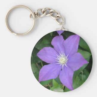 Purple Clematis
