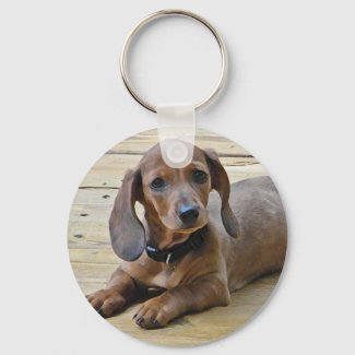 AP- Cute Puppy Dachshund Keychain