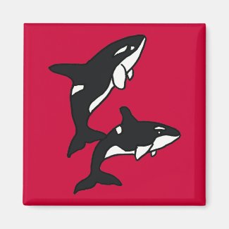 AC- Leaping Killer Whales Magnet