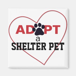 Adopt a Shelter Pet