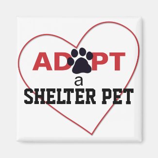 Adopt a Shelter Pet