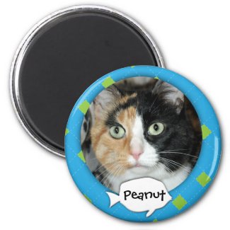 Personalized Argyle Cat Photo