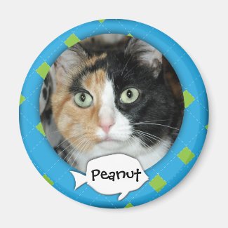 Personalized Argyle Cat Photo