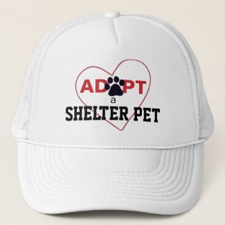 Adopt a Shelter Pet