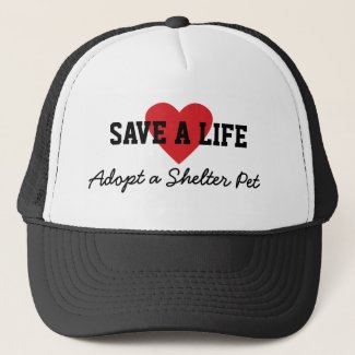Save a Life-Adopt a Shelter Pet