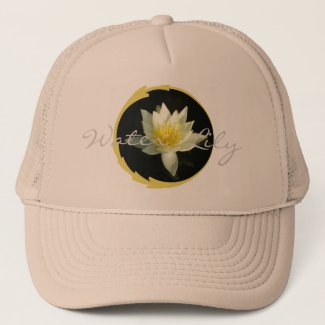 White Water Lily/Lotus