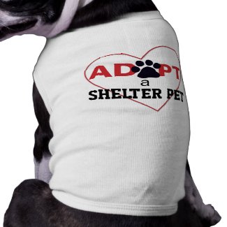 Adopt a Shelter Pet