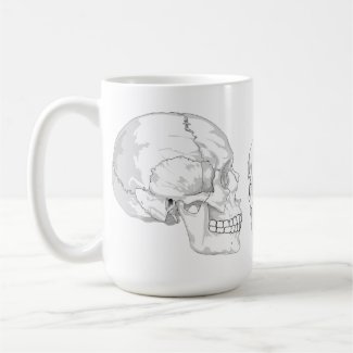 Skull Trio