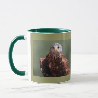 Red Kite
