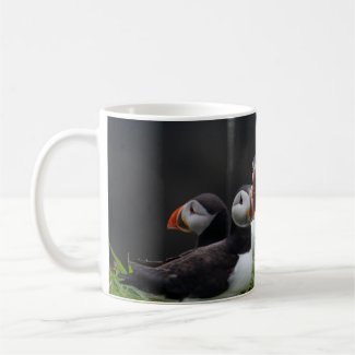 Puffin Gang