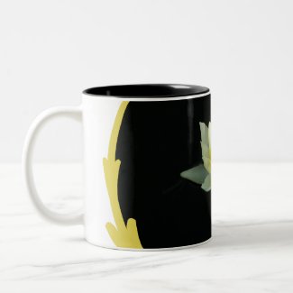 White Water Lily/Lotus