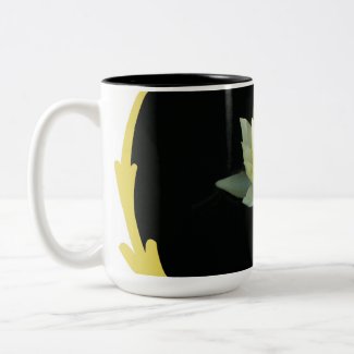 White Water Lily/Lotus