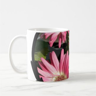 Pink Gerbera Daisy